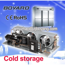 1,5 PS Kältetechnik kondensierenden Einheit für Kühlhaus Kühlraum Teile